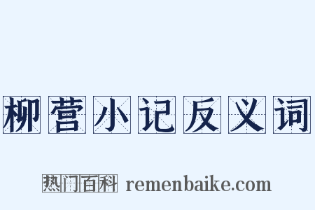 柳营小记反义词是什么意思的图片